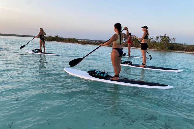 Private Paddleboard Experience in Bacalar - Why this 3-hour paddle board tour fits Bacalar perfectly