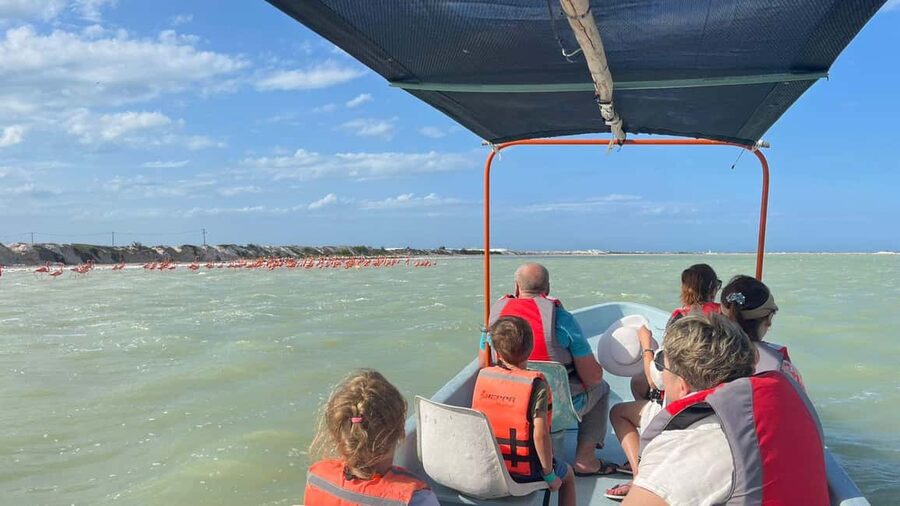 Private Ría Lagartos Boat Tour: Flamingos & Crocodiles - The Mayan mud bath, white clay, and why it feels like a real break