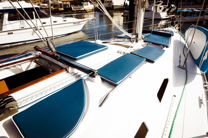 Private Sailboat tour in Cabo San Lucas with Papillon Yachts - The Crew and the Photographer Touch: Comfort, Safety, Flexibility