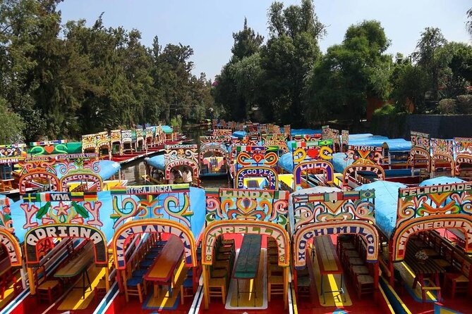 Private/Shared Tour Xochimilco Coyoacán optional Frida Kahlo - Key highlights at a glance