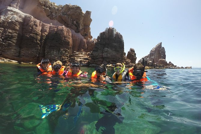 Private Snorkeling Tour in Cabo San Lucas - Snorkeling Comfort Tips for First-Timers and Families