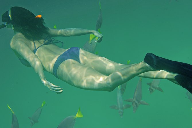Private Snorkeling Tour in Cabo San Lucas - Price and Value: Is $399 per Group Worth It?