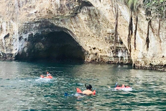 Private Snorkeling Tour to Los Arcos - The bay ride: Puerto Vallarta views, dock wildlife, and surprises
