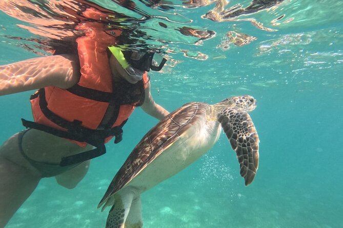 Private Snorkeling with Sea Turtles in Akumal Beach - Getting to the meeting point and starting smoothly