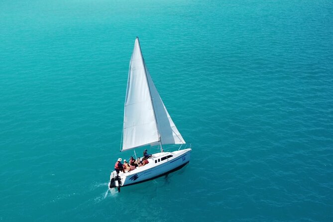 Private Sunrise Tour with Breakfast on Board - Bird Island and the Bird Sanctuary Sunrise Wait
