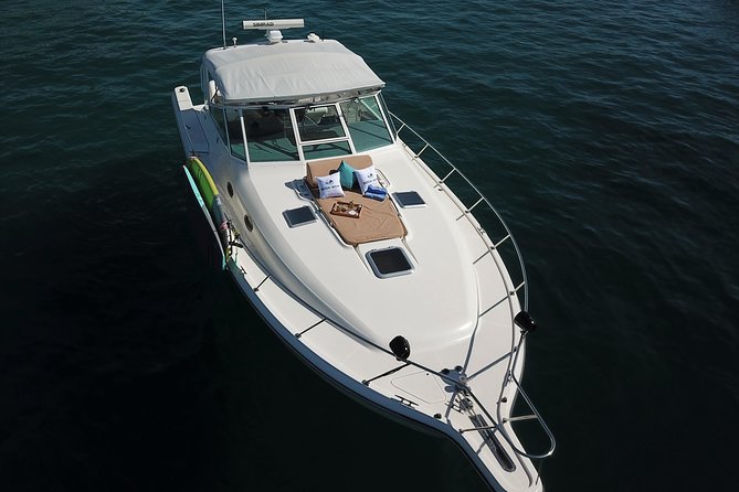 Private Sunset Cruise- 3 Hour - Wildlife and Sights: What You Can Expect Around Lover’s Beach and Land’s End