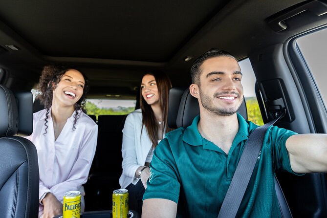 Private SUV Round-Trip from Airport to Hotels in Puerto Los Cabos - The Ride Itself: Clean Air-Conditioning, Cold Drinks, and Luggage Help
