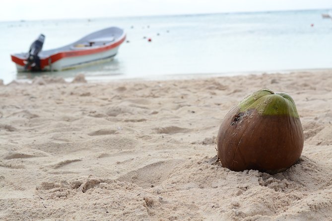 Private swiming with Turtles in Akumal - Who Should Book This Turtle Tour, and Who Might Skip It