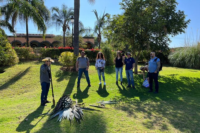 Private Tequila Tour with Local Expert - What you get for the price, and why it can be good value