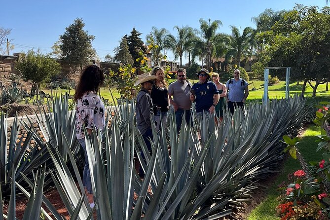 Private Tequila Tour with Local Expert - Stop 2 at Jarritos La Puerta Del Agave and the agave views