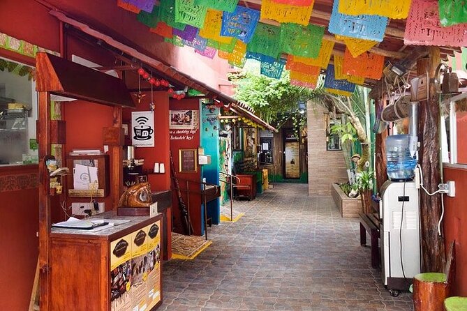 Private Tour: 5-Hour Cozumel Sightseeing with Private Driver and Tequila Tasting - A Half-Day Plan That Covers Cozumel’s Big Themes