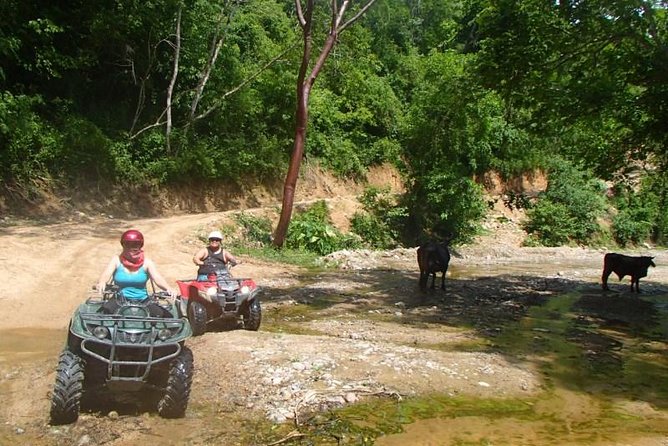 Private Tour: ATV SIERRA MADRE rivers with Tequila Tasting - Who Should Book This ATV and Tequila Tour (And Who Might Skip It)