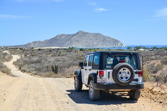 Private Tour Baja Jeep 4x4 Adventure at Los Cabos - Quick take: what makes this Baja jeep day work