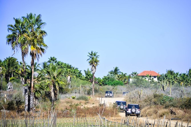 Private Tour Baja Jeep 4x4 Adventure at Los Cabos - Pickup at Plaza Gali: the easiest meeting point