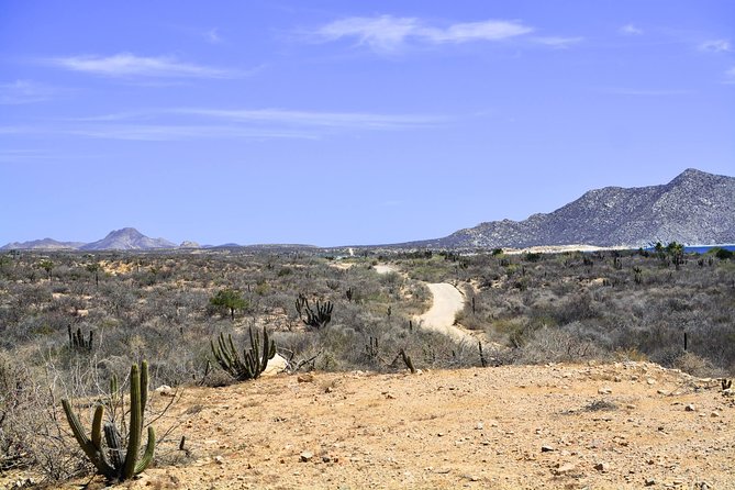 Private Tour Baja Jeep 4x4 Adventure at Los Cabos - Driving versus riding: you get to choose the experience