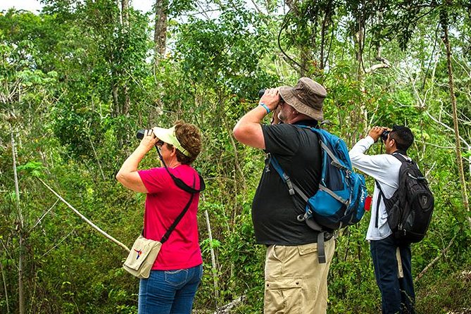 Private Tour: Birdwatching from Cancun - Private logistics: pickup zones, meeting point, and a small group feel