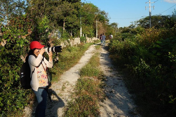 Private Tour: Birdwatching from Cancun - How many birds you can expect, and what changes that number