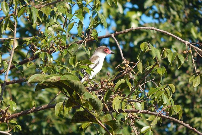 Private Tour: Birdwatching from Cancun - The guide team makes or breaks birding, and this one is serious
