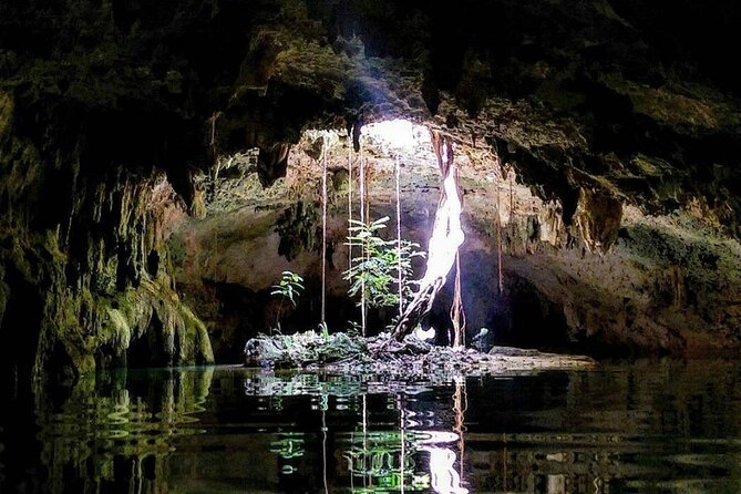 Private Tour Cenotes Sac Actun The Longest Underground River - Cenote Xunaan-Ha: quieter water, outdoor greenery, and an easy second act