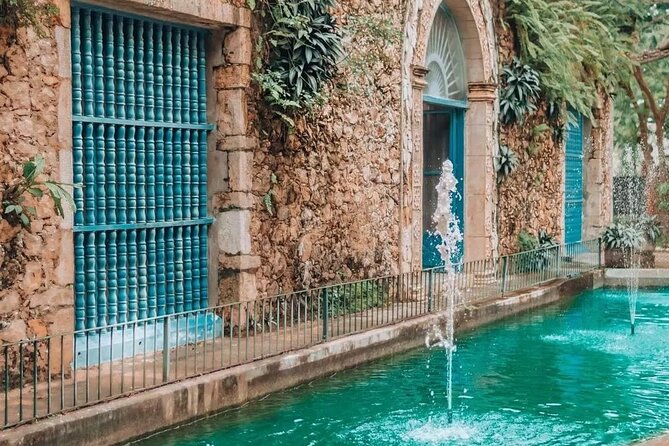 Private Tour Chichen Itza Cenote Valladolid All Inclusive - Cenote Selva Maya: swimming with waterfall scenery