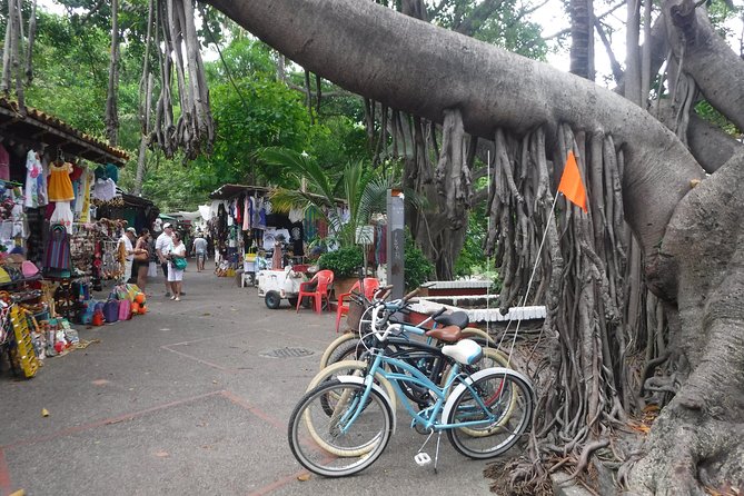 Private Tour in El Malecon Boardwalk Bike Ride - Price check: why about $56.76 per person can make sense