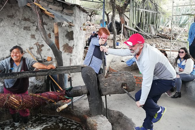 Private Tour of the Mezcal Route with Ancestral Drinks - Key points before you go