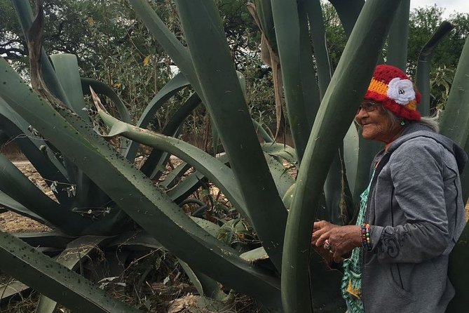 Private Tour of the Mezcal Route with Ancestral Drinks - Should you book this Mezcal Route with Ancestral Drinks?