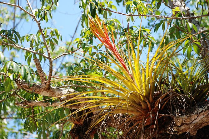 Private tour of Tulum Archaeological Site & Sian Ka'an Muyil - Sian Kaan Biosphere Reserve: Boat Ride Plus Floating