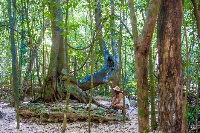 Private tour of Tulum Archaeological Site & Sian Ka'an Muyil - The Tulum Taco Break That Keeps the Day Human