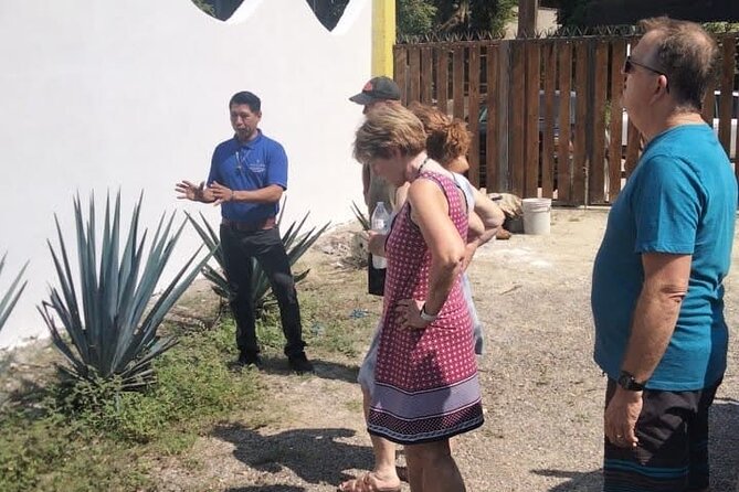 Private Tour, Sayulita & San Pancho - The extra hour in Sayulita: make it yours
