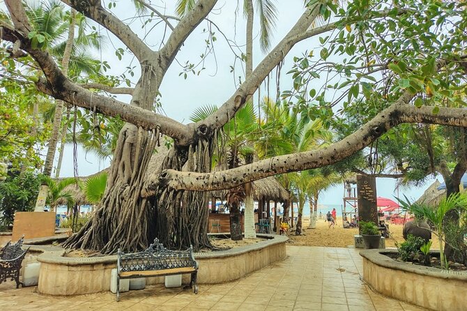Private Tour, Sayulita & San Pancho - The 9:30 am start and how 6 hours really feels