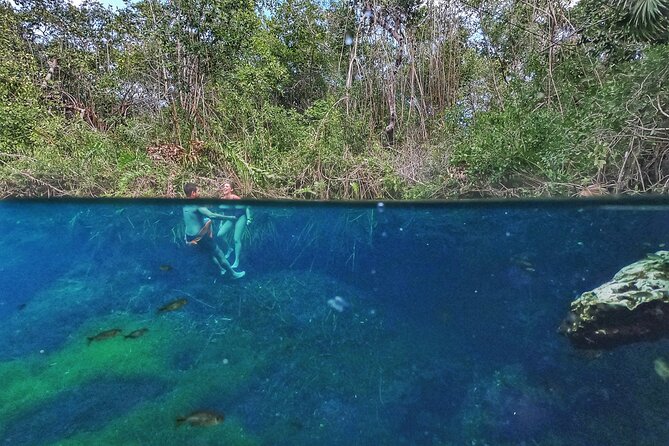 Private Tour The Best Cenotes in Tulum Riviera Maya - Food and Breaks: Refuel Without Losing Your Momentum