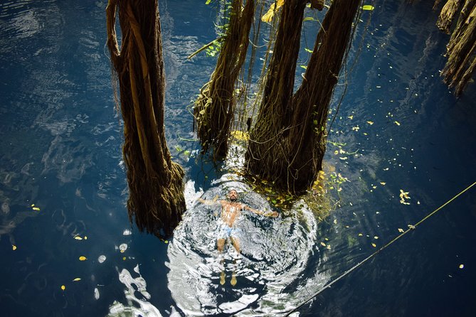 Private Tour - The best Cenotes in Yucatan - Suytun & Oxman - Logistics that matter: pickup, language, and pacing