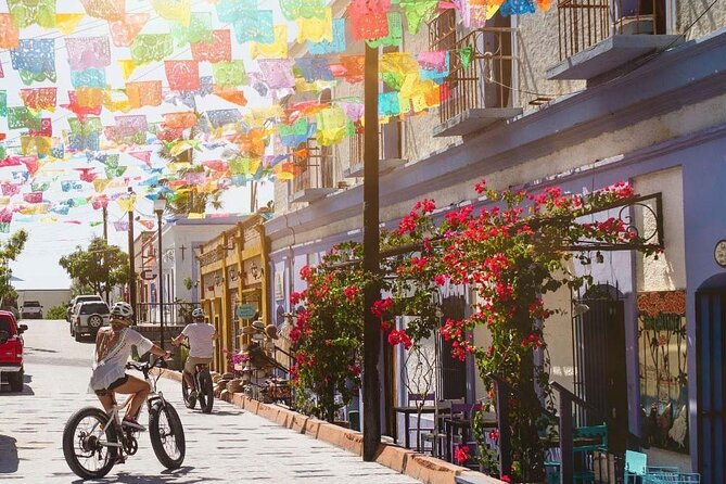 Private Tour to Balandra, La Paz and Todo Santos - Who this tour suits best (and who should think twice)