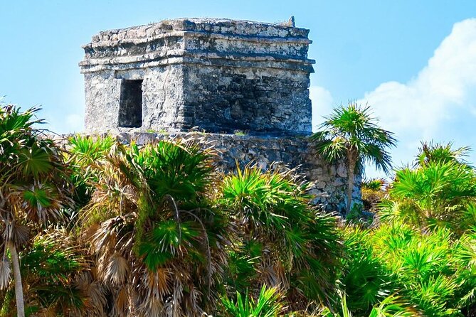 Private Tour to Tulum, Cenote and Swimming with Turtles - Price and What You Actually Get for $410