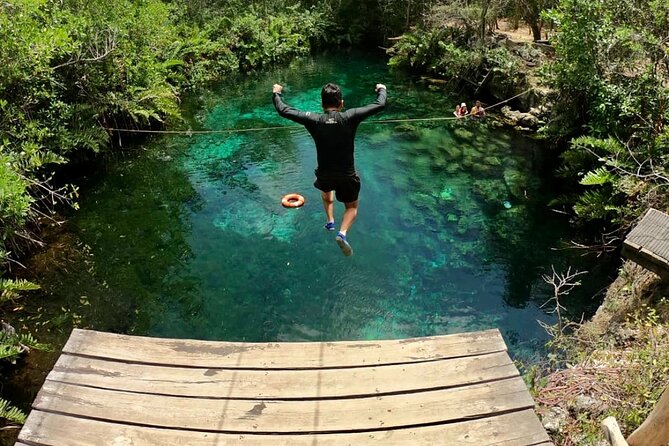 Private Tour Tulum Tortugas Cenote Beach All Inclusive - Lunch in Akumal: tacos, ceviche, and sea-view dining