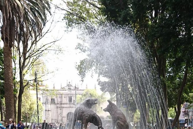 Private Tour: Xochimilco, Coyoacan and Frida Kahlo Museum - Coyoacán on Foot: Art Streets, Market Energy, and a Reset Between Museums