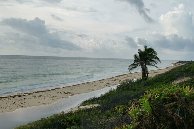 Private Transfer-Cancun Airport-Playa del Carmen One Way - The Real Value of Private Transfer Versus DIY