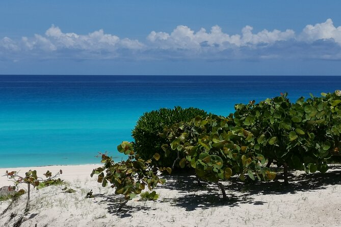 Private Transfer-Cancun Airport-Playa del Carmen One Way - Cold Water and Sodas, Plus Optional Beer