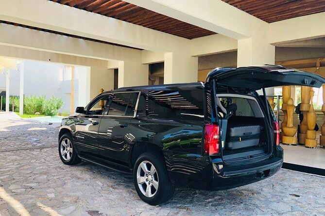 Private Transfer from Los Cabos Airport to Cabo San Lucas - Support and mobile ticket: the practical tech side