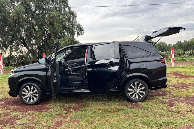 Private Transportation to Teotihuacan from CDMX - Who this private ride is best for (and who might not love it)