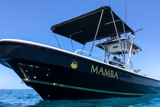 Private Trip Espiritu Santo Island - Private Espiritu Santo trip: what makes it worth your time