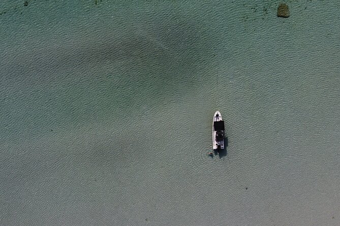 Private Trip Espiritu Santo Island - Marine biologist guides: what you’ll likely learn on the water