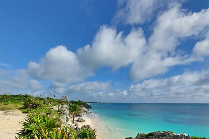 Private Tulum & Cenotes tour - Casa Cenote snorkeling: mangroves, fish, and that cool-water reset