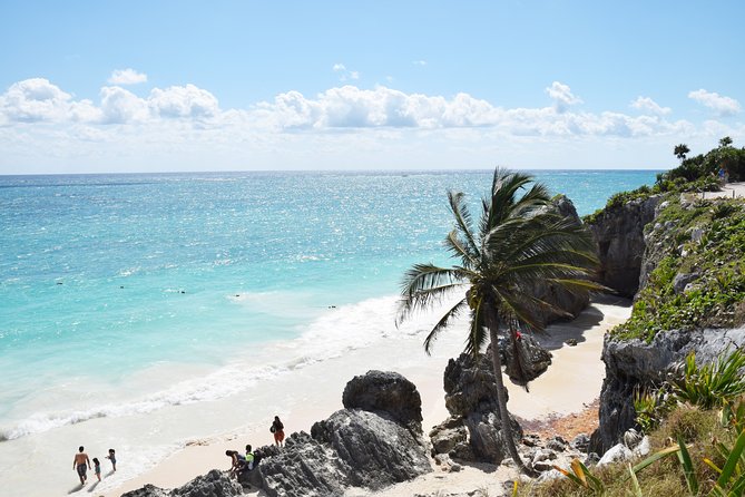 Private Tulum Ruins & Akumal Turtle Adventure - Akumal Beach Turtle Snorkeling: The Part You Will Actually Remember