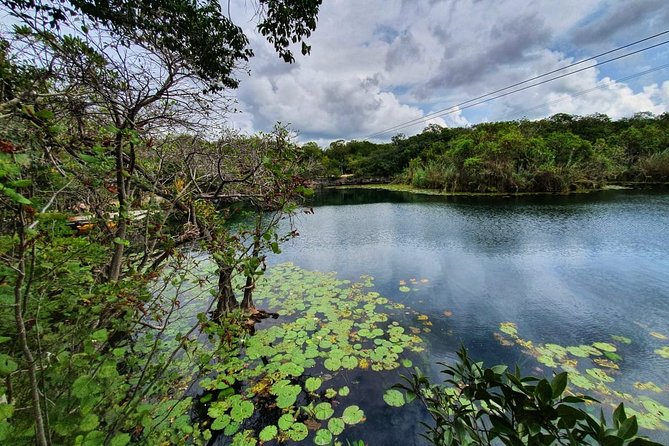 Private - Tulum Ruins and 3 Cenotes Jungle Adventure - Guide Quality: When the Day Feels Like More Than a Checklist