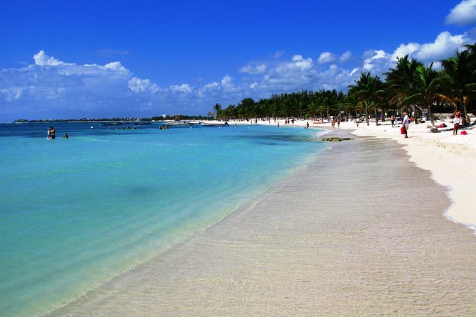 Private Turtle Snorkel Adventure in Akumal - Final Call: Should You Book This Private Turtle Snorkel Adventure?