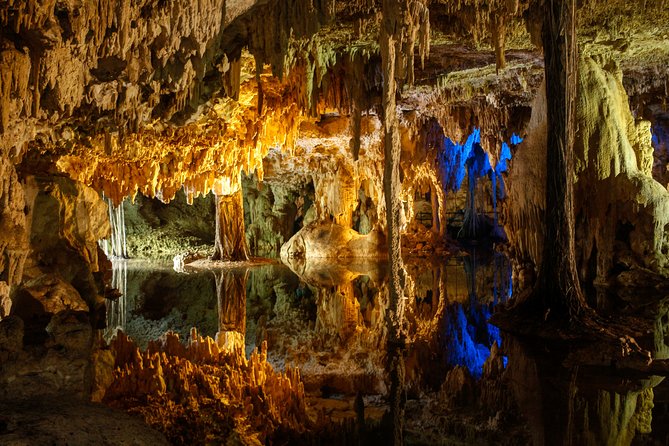 Private Turtles & Cenotes Adventure - Snacks, bottled water, and what’s included in the $310 price
