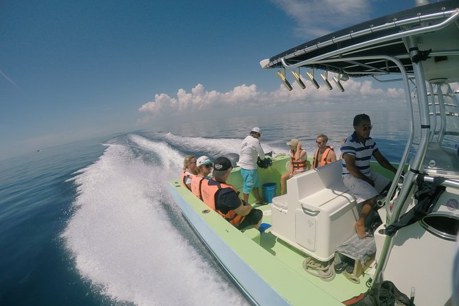 Private Whale Shark All Inclusive Experience - Price and value: what you’re really paying for