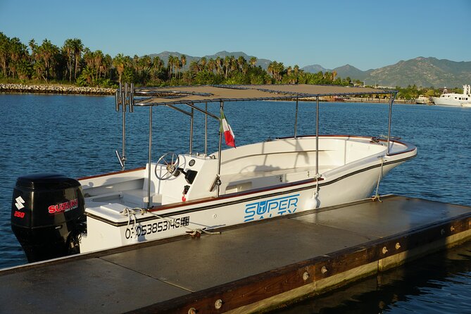 Private Whale Watching in San José del Cabo - Why San José del Cabo whale watching feels different